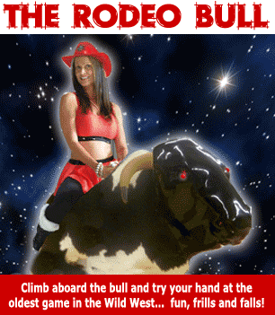 The Rodeo Bull
