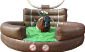 Rodeo Bull